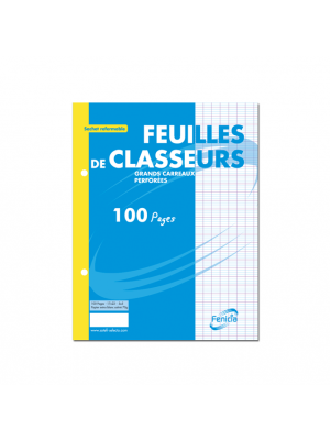 FEUILLES DE CLASSEUR BLANC A4 100P 60g