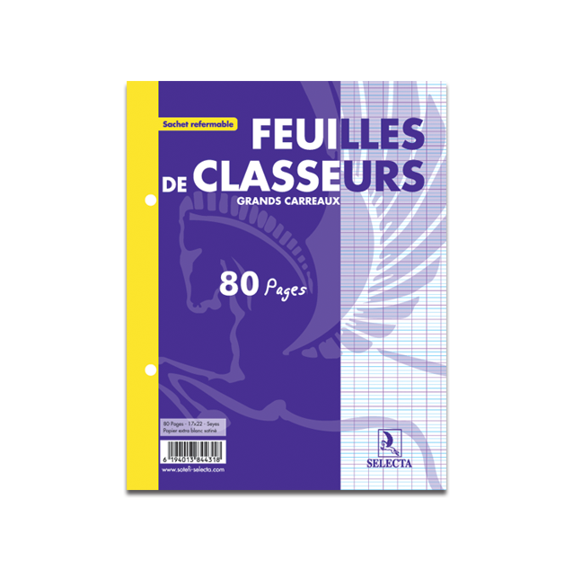 Feuillets mobiles Séyès - 17x22cm - 90g - blanc éco - lot de 10 paquet 50  feuillets (100 pages) NF88 Ecole pas cher