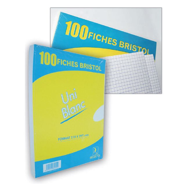 FICHE BRISTOL BLANC SOUS FILM  100F 180G SELECTA