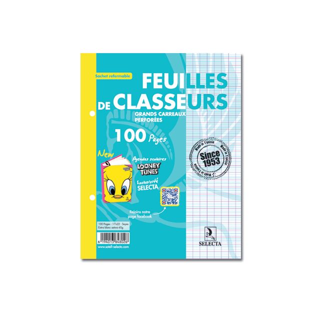 FEUILLES DE CLASSEUR BLANC A4 100P 60g