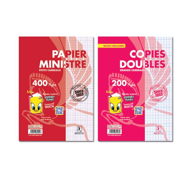 COPIES DOUBLES NON PERFORÉS 60g BLANC