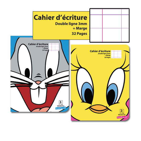 CAHIER D'ECRITURE 17X22 32P DL3